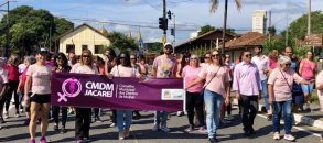 Projeto de Lei do Executivo n° 1/2020