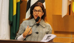Rose Gaspar quer intensificação de rondas da PM no Igarapés