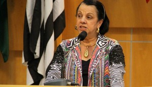 Ana Lino solicita manutenção em ruas da Vila Machado e Terras da Conceição