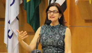 Rose Gaspar pede melhorias em três bairros de Jacareí