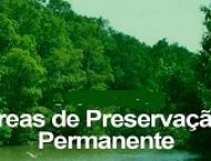 Processo nº 203/2015