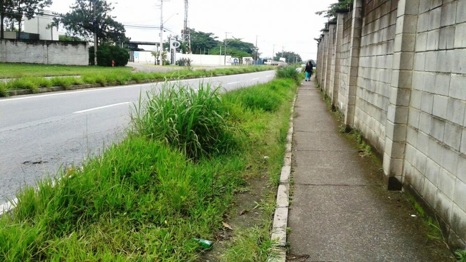 Edgard Sasaki pede limpeza nas margens da rodovia Geraldo Scavone