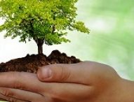 Projeto de Decreto Legislativo nº 3/2017