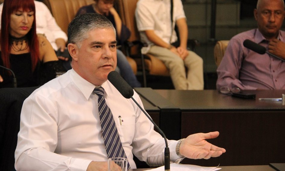 Fernando da Ótica pede providências para evitar acidentes com árvores e animais