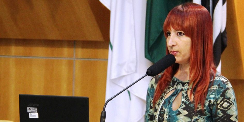 Sônia Patas da Amizade pede serviços de manutenção em vias públicas de Jacareí