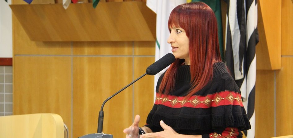 Sônia questiona Prefeitura sobre fiscalização de lei que proíbe venda de chumbinho