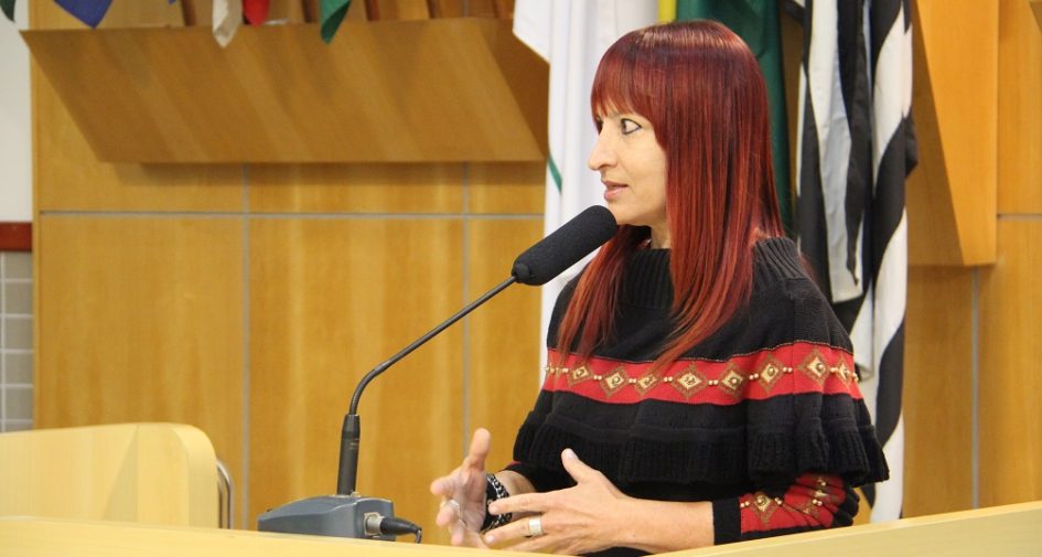 Sônia pede limpeza de córregos e melhoria no trânsito de Jacareí