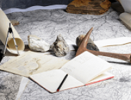 Projeto de Lei do Executivo nº 8/2019