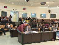 Vereadores aprovam obrigatoriedade de câmeras em serviços de banho e tosa de animais