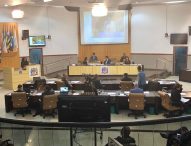 Câmara regulamenta presença de doulas em momento do parto na rede de saúde pública e privada