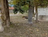 Sônia pede melhorias no Jardim Didinha