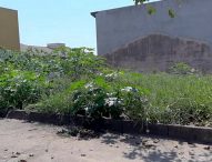 Sônia pede limpeza em terrenos do Residencial Santa Paula