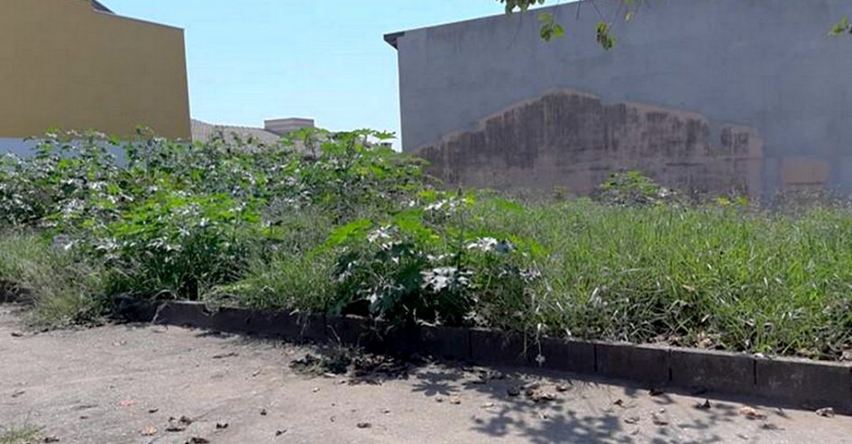 Sônia pede limpeza em terrenos do Residencial Santa Paula