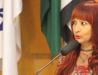 Sônia quer repintura de sinalização de solo na região de acesso ao Bandeira Branca II