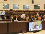 Vereador retira projeto que aplica multa para quem alimentar pombos em Jacareí