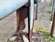 Estrutura desgastada não protege passageiros em abrigo de ponto de ônibus