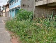 Rodrigo Salomon indica capina e limpeza em viela no Jardim Maria Amélia