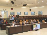 Vereadores aprovam projeto de lei de conscientização sobre endometriose
