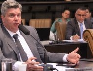 Rodrigo Salomon pede à prefeitura remoção de árvore e limpeza de bocas de lobo