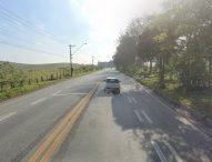 Juarez aciona DER para remoção de duas árvores na Rodovia Euryale de Jesus Zerbine