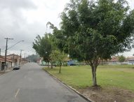 Paulinho do Esporte solicita reparos em área de lazer no Jardim do Vale