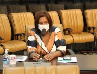 Dra. Márcia pede retirada de entulho da entrada do LEV