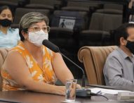 Maria Amélia propõe construção de barreira em rua do Jardim Paulistano