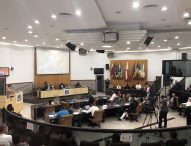 Vereadores aprovam dois projetos relacionados à causa animal em Jacareí