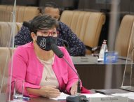 Maria Amélia pede melhorias para o bairro Santa Maria