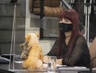 Sônia aponta necessidade de capina no Parque Califórnia