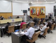 Câmara Municipal aprova maior rigor às regras sobre descarte inadequado de lixo e Semana do Futebol Amador