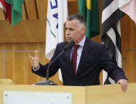 Luís Flávio solicita remoção de árvores de margem de córrego