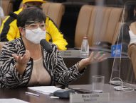 Maria Amélia pede serviços no Jardim Pedramar e na Estrada Municipal do Igarapés