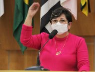 Maria Amélia pede melhorias no trânsito na Vila Formosa e lâmpadas de LED no Santa Maria