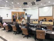 Câmara aprova afixação de cartazes sobre manobra de Heimlich e mais dois projetos