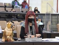 Sônia pede campanha de conscientização para descarte correto de lixo