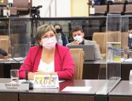 Maria Amélia pede ponte sobre córrego no Jardim Santa Maria