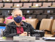 Paulinho do Esporte cobra troca de postes de madeira na região leste