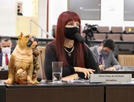 Sônia recorre ao governo do estado para construção de hospital veterinário em Jacareí
