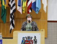 Maria Amélia pede instalação de tabela de Basquete de Rua em área ao ar livre no Pq. Brasil