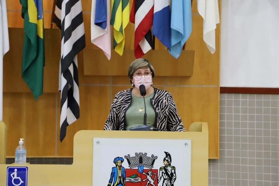 Maria Amélia pede instalação de tabela de Basquete de Rua em área ao ar livre no Pq. Brasil