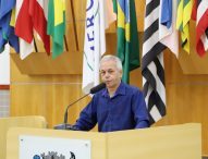 Paulinho do Esporte indica construção e pintura de faixa de pedestres na Avenida São João