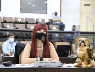 Sônia pede serviços de manutenção em avenidas do Centro de Jacareí