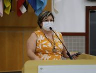 Maria Amélia pede controle de camelôs não cadastrados no Centro de Jacareí