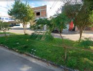 Valmir questiona Prefeito sobre falta de limpeza em valeta na Avenida dos Migrantes