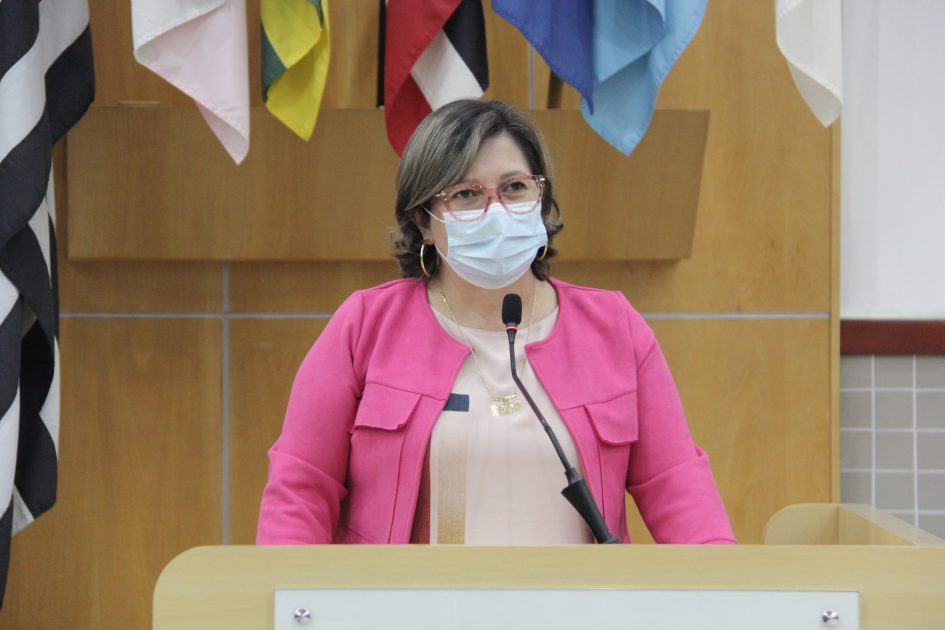 Maria Amélia cobra operação tapa buracos no Jardim Colônia