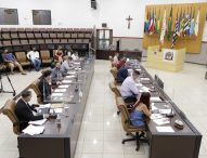 Câmara aprova permissão de videochamadas a pacientes internados