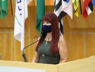 Sônia pede serviços de manutenção urbana em bairros da região leste