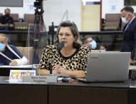 Maria Amélia aciona Prefeitura por prevenção de enchentes