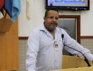 Roninha pede providências para remoção de árvore no Conjunto São Benedito